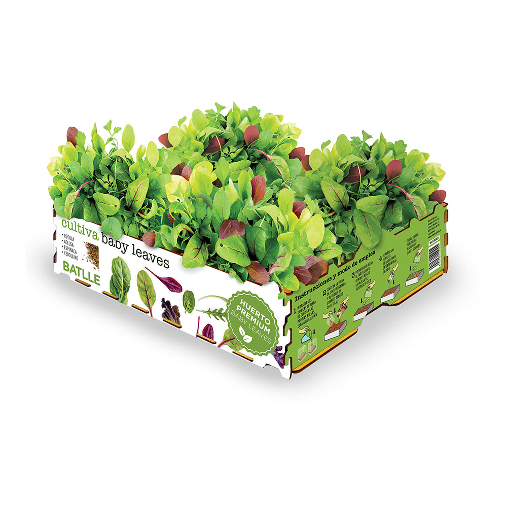 caja-de-ensaladas-baby-leaves-batlle