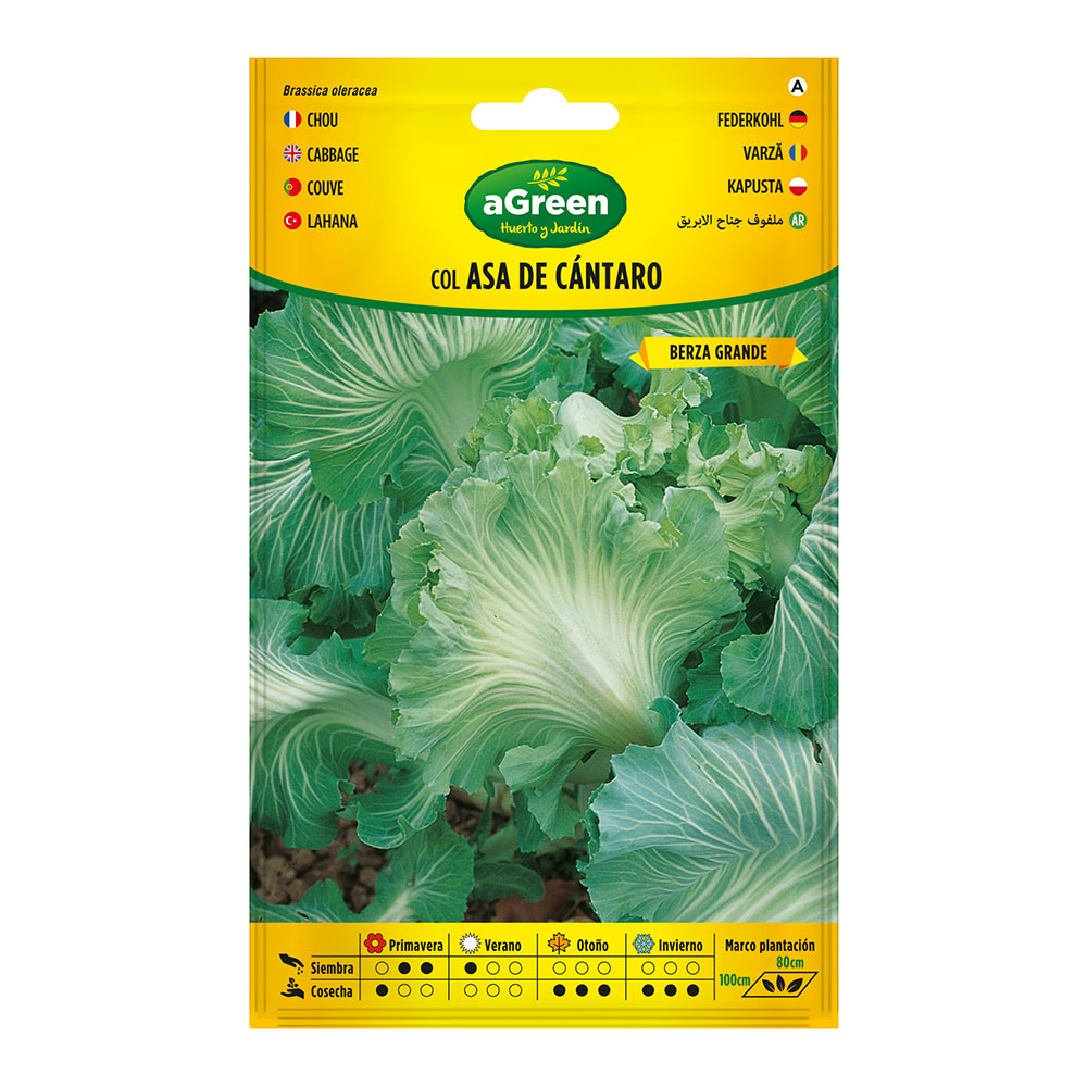 sobre-con-semillas-de-col-asa-de-cantaro-000250bolsh-agreen